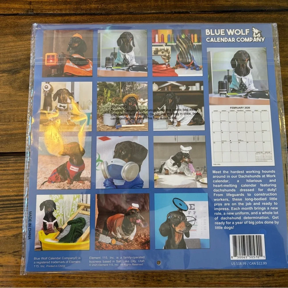 Dachshunds 2026 Wall Calendar